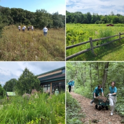 2025 Welty Weekly Workdays @ Welty Environmental Center